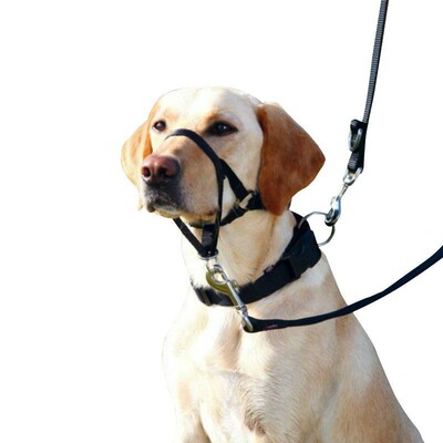 好货Nylon Dog Head Collar Dog Training Sling Pet Gentle Lead