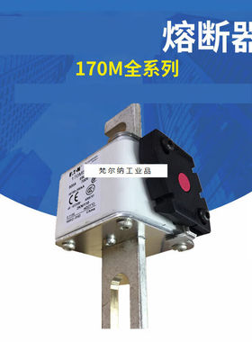 170M5265/170M5266/170M5267/170M5268熔断器红色170M5265