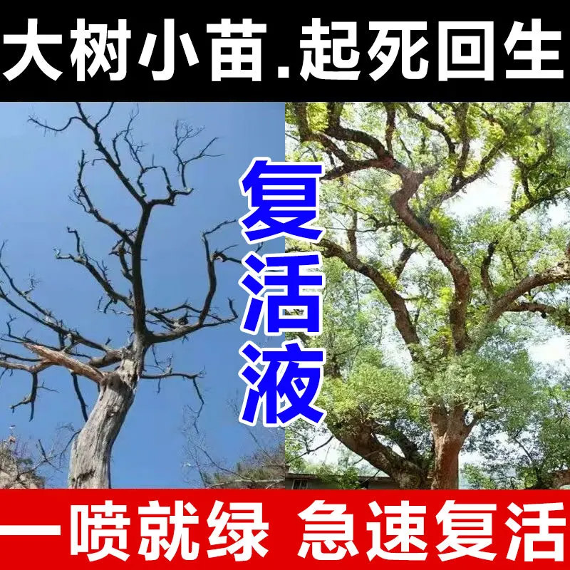 发财树复活液植物通用黄叶掉叶烂根营养液枯树再生专用植物活力素