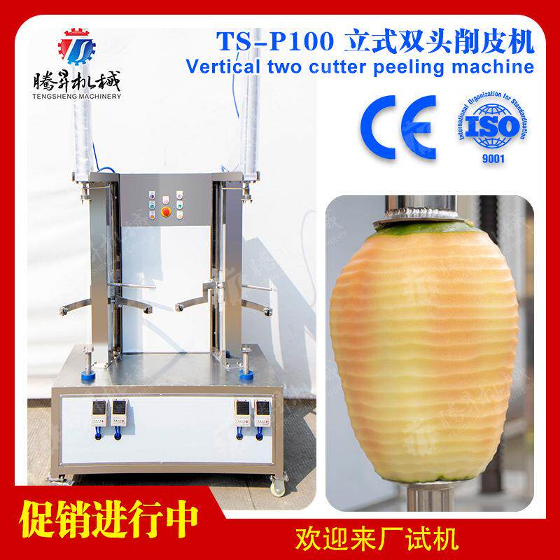 双头瓜果削皮机大型削皮机冬瓜西瓜南瓜哈密瓜削皮腾昇去皮机
