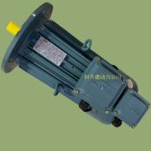 SNMA马达 YPNC SENLIMA电机 11KW 33.3