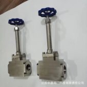 320P不锈钢高压低温截止阀 LO2 LN2 DJ61F LNG 长轴低温截止阀