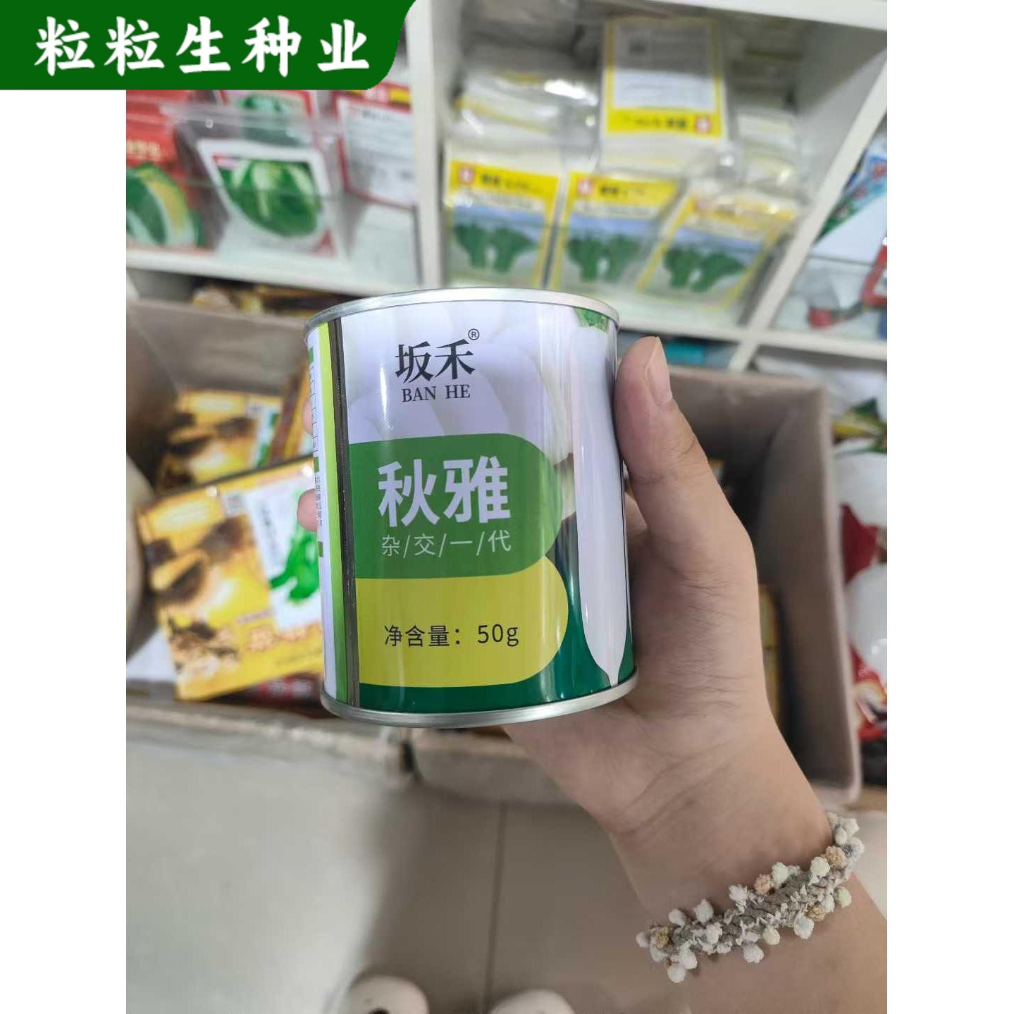 秋雅杂交一代萝卜种子种籽白皮