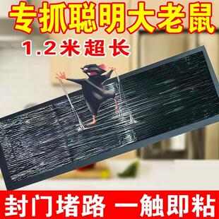 超强力粘鼠板大老鼠贴捕鼠老鼠神器克星透明隐形大号家用灭黏粘鼠
