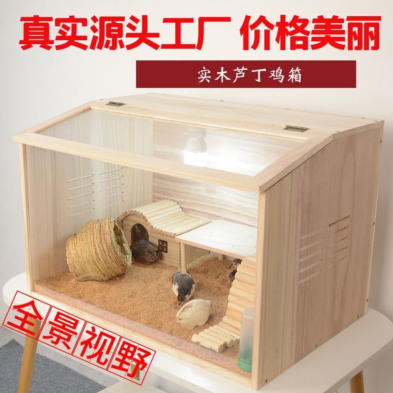 实木芦丁鸡饲养箱宠物饲养笼鸡窝仓鼠笼子全套造景饰品保温箱育雏