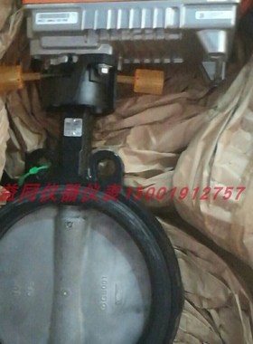 搏力谋D6250W/ZPR01/PRCA-S2-T-250电动对夹式DN250开关蝶阀水阀