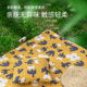 野餐垫秋游防潮垫子户外可携式 郊游野炊地垫野外草坪野餐布加厚地