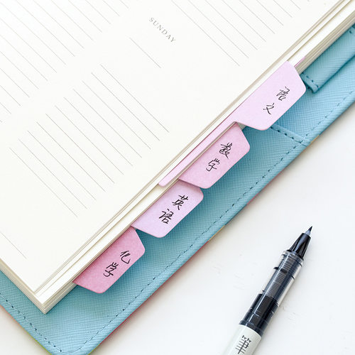 极速Index Divider Sticky Notes Paper Tabs, 60 Blank Notes pe