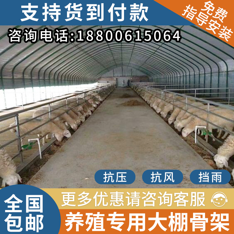 管养大大棚全套k棚鸡鸭鹅专用大棚骨架搭建鸡舍猪舍殖养钢管