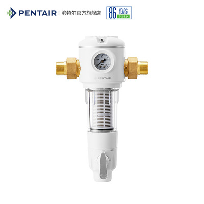 Pentair/滨特尔前置过滤器家用自来水全屋大流量正反冲洗净水器