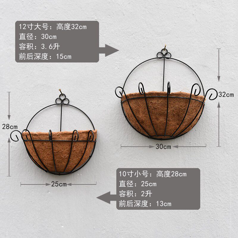 极速挂墙绿植真花禄萝盆栽悬挂式植物四季青阳台养什麽适合种的吊