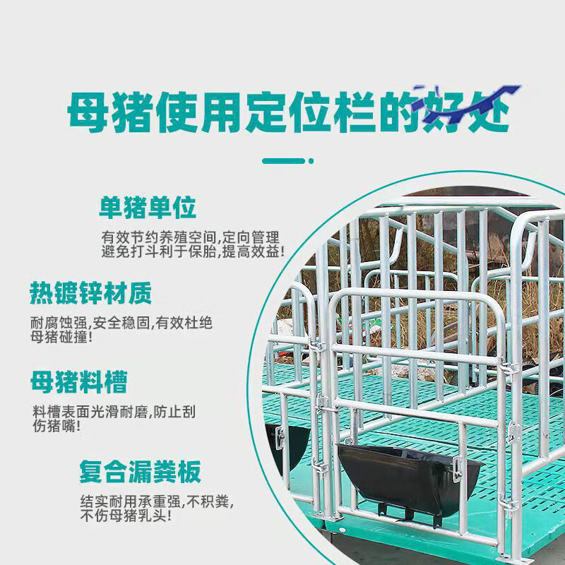 母猪限位栏定位栏猪用落地式加厚养猪设备镀锌管带复合板产牀厂家