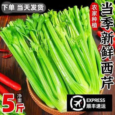 山东新鲜大西芹10斤现挖西洋芹去叶芹菜榨汁食用农家嫩心蔬菜