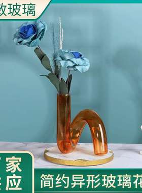 异形玻璃花瓶 北欧风格饰品创意客厅插花瓶简约不规则异形ins花瓶