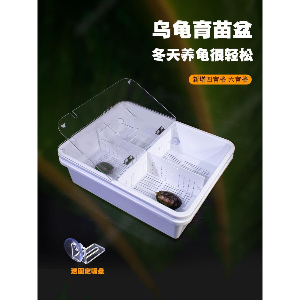 乌龟育苗防咬尾龟苗隔离盒沉淀盒饲养箱带盖粪便分离发色板隔离盒图片
