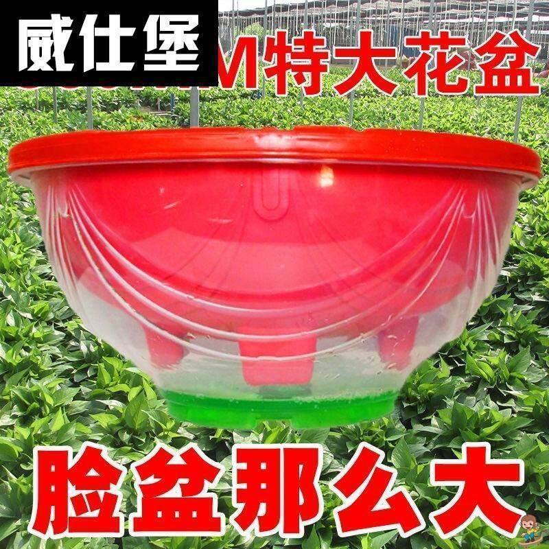 现货速发大盆花盆大绿萝懒人自动吸水盆透明储水盆吊兰塑料mm绿箩