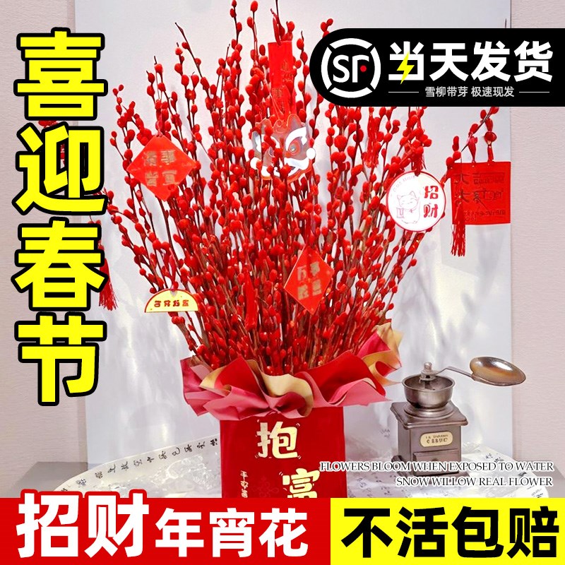 速发银柳真花招枝室绿客厅书房办公室花财纳福干花盆栽内植植物摆