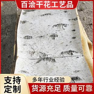天然白桦树皮白桦树皮家居装饰DIY花材道具摄影背景桦树皮