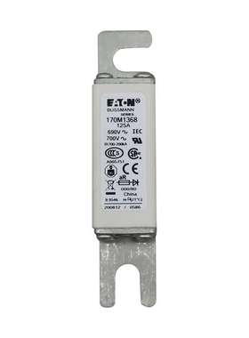 170M8627 170M8629 170M8630 170M8631原厂陶瓷熔断器 保险丝