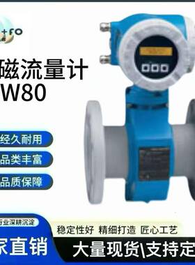 E+H现货50W80-HC0A1AA0AAAW电磁流量计316L电极硬橡胶内衬0.5%精