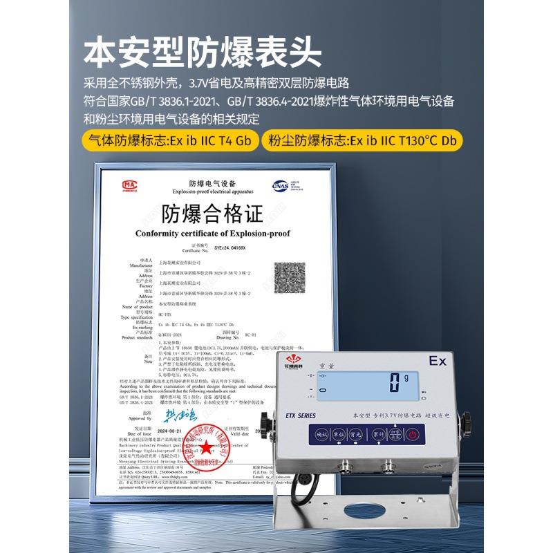 花潮不锈钢地磅秤1-3吨防水电子地磅秤化工业防爆磅秤2t加厚畜牧