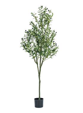 北欧ins风真C301橄仿榄树盆栽室内客厅落地装小树盆假栽饰仿真树