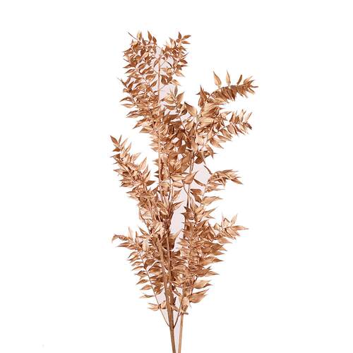 漂白庆永生富XX023贵叶富贵叶家永生厂花干花花束婚装饰插花道具