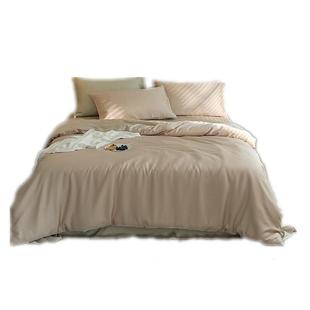 轻奢E01风亲肤色丝裸睡冰纯60支兰精天丝四件莱套赛尔床上用品