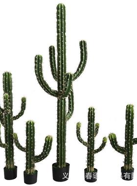 仿真欧仙人掌RIE盆栽大型植物假北窗仙人柱室件内场景橱装饰摆量