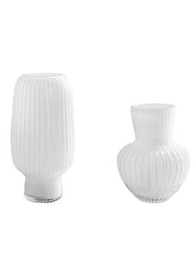 isn风花瓶玻璃花盆白色高级感轻奢水培养插花客厅桌面装饰摆件