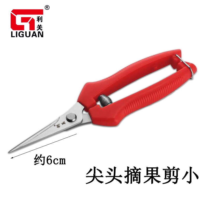 利关不锈钢翘头摘果剪采摘火龙果葡萄稀疏果剪园艺花修枝剪刀工具