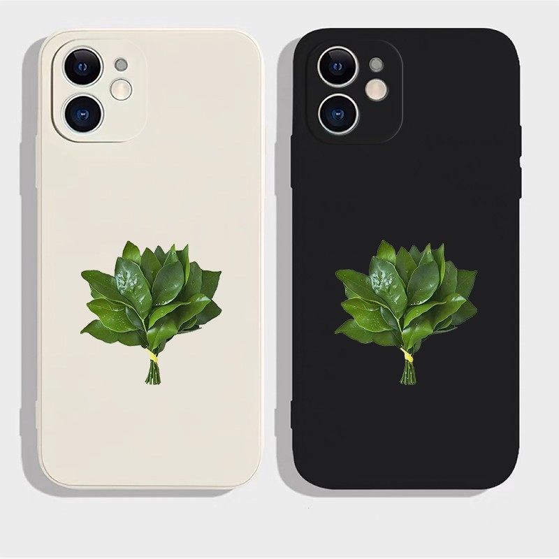 柚子叶去霉气适用苹果13p