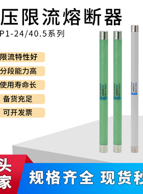 35KV高压限流熔断器XRNP1-24/0.5A1A2A3.15A保险熔断器电压互感器