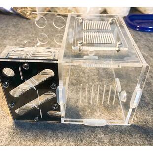 15口径6试管巢蚁巢亚克力巢黑色中小型蚁巢