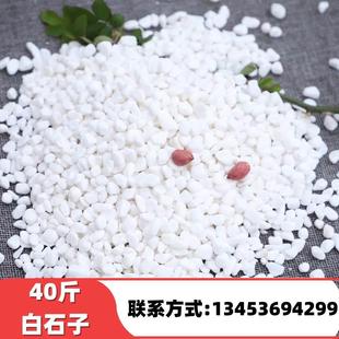 四川装白色石子石头大鹅卵石庭院铺路铺地小白石头造景景观白石子