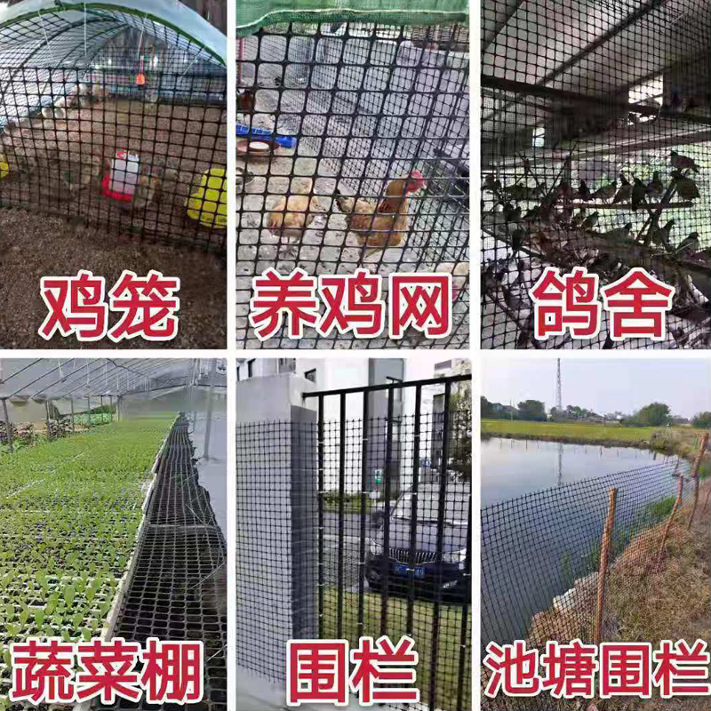 高档网围栏养殖拦养鸡网网外圈栏家用护栏网栅地T围网漏粪户玉奢