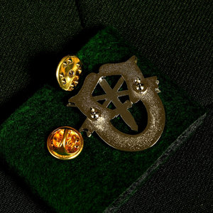 识别章绿贝雷 USARMY帽徽肩章章军迷金属徽章团队章