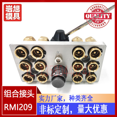 现货供应史陶比尔组合接头RMI209.12.1810/JV 非标定制快速接头