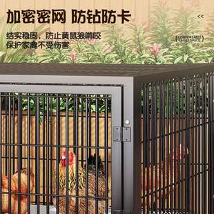鸡笼子家用室外大号方管防雨室内农村自动清粪鸡鸭鹅养殖笼鸽子笼