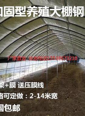 。养鸡大棚骨架全套连栋钢管农用简易草莓棚蔬菜T温T室菌菇连体大