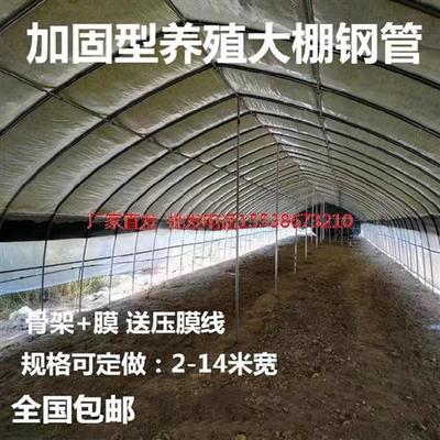 。养鸡大棚骨架全套连栋钢管农用简易草莓棚蔬菜T温T室菌菇连体大