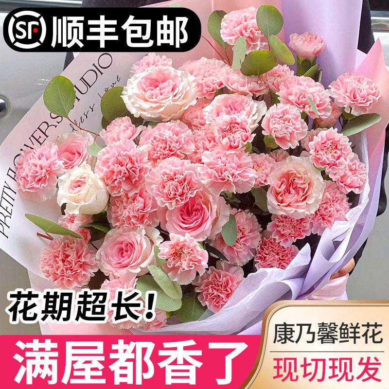 好货康乃馨鲜花速递云南基地直发家用插花教师节母亲节送妈妈