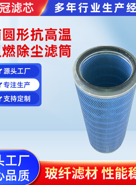 替代除尘器专用椭圆形耐高温阻燃除尘滤筒/P191889滤芯