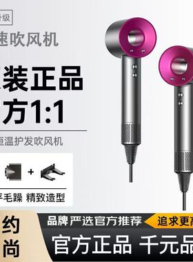 电吹风机家用大功率负离子护发静音大风力速干恒温高速发廊冷热风