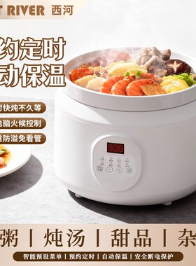 热卖爆款电炖锅多功能陶瓷家用煲汤锅全自动煮粥锅婴儿辅食电炖盅