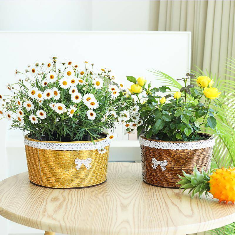 新品仿藤编圆柱形花盆田园家居桌面手工编织多肉绿植花盆收纳装饰