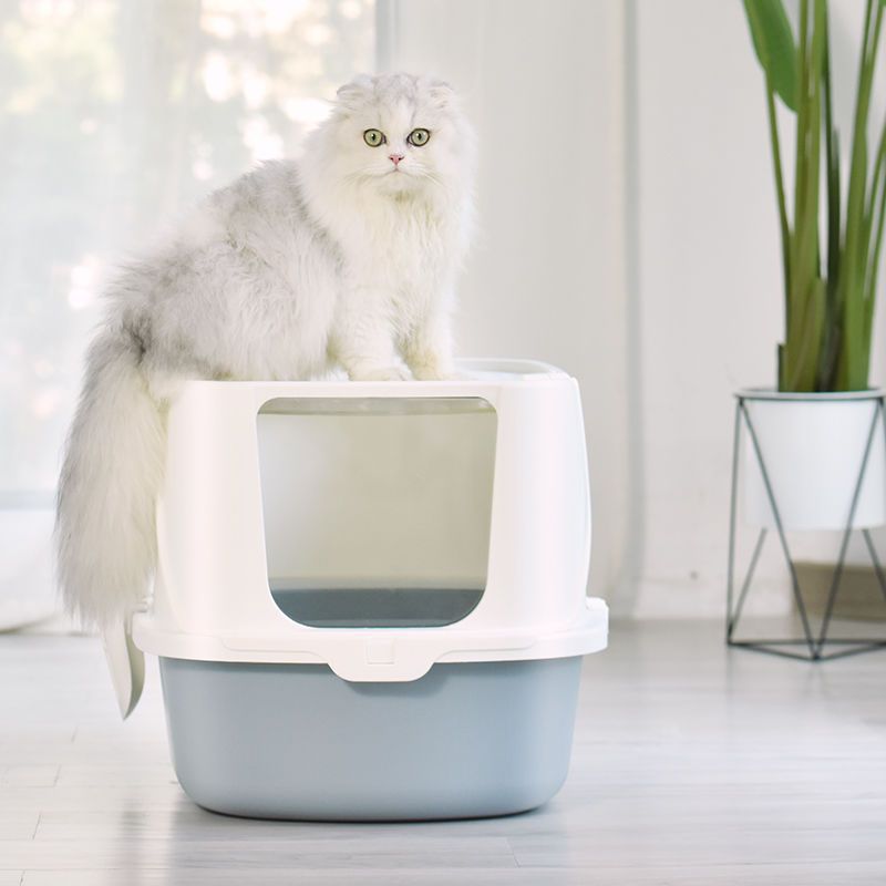 猫砂盆顶入式全封闭式防外溅屎盆猫沙盆猫咪用品大号便盆厕所