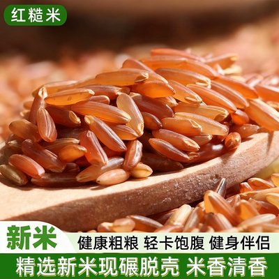 农家红糙米新鲜红米五谷杂粮红糙米颗粒饱满100g1斤多规格红米