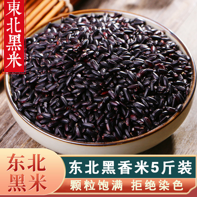 东北黑米粘糯新米农家自种粗粮煮粥八宝粥饭团配料五谷杂粮无掺杂