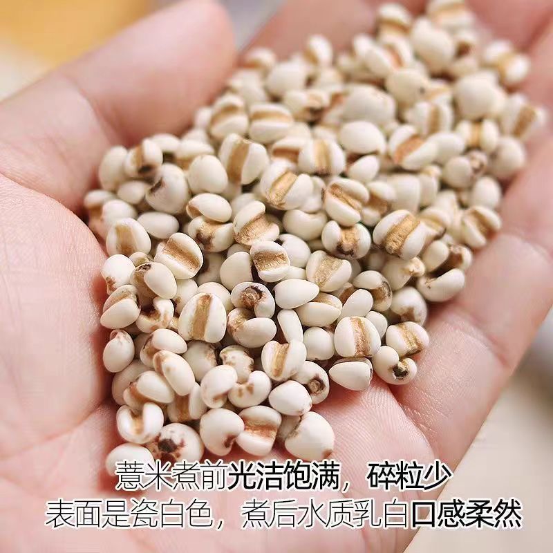 新货薏米仁颗粒饱满易煮软糯薏米农家自产精选薏米仁无杂质 - 实物图